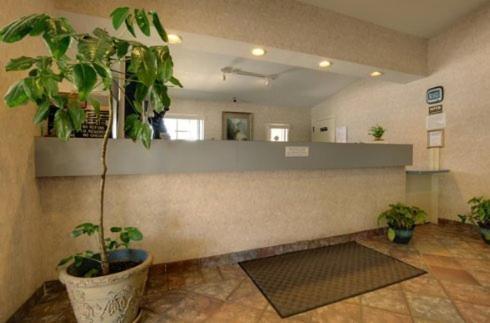 Edinburg Executive Inn Екстериор снимка